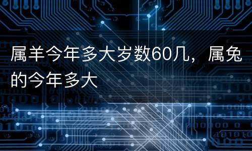 属羊今年多大岁数60几，属兔的今年多大