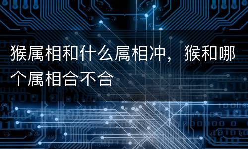 猴属相和什么属相冲，猴和哪个属相合不合