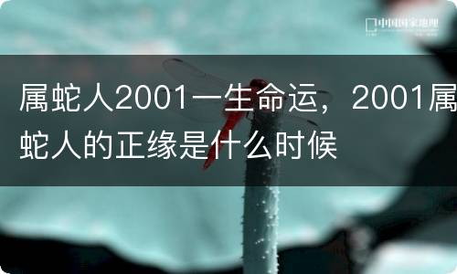 属蛇人2001一生命运，2001属蛇人的正缘是什么时候
