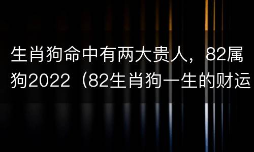 生肖狗命中有两大贵人，82属狗2022（82生肖狗一生的财运贵人）