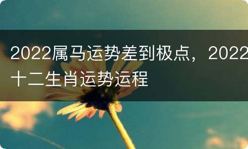 2022属马运势差到极点，2022十二生肖运势运程