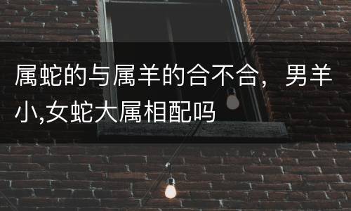 属蛇的与属羊的合不合，男羊小,女蛇大属相配吗