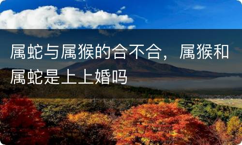属蛇与属猴的合不合，属猴和属蛇是上上婚吗