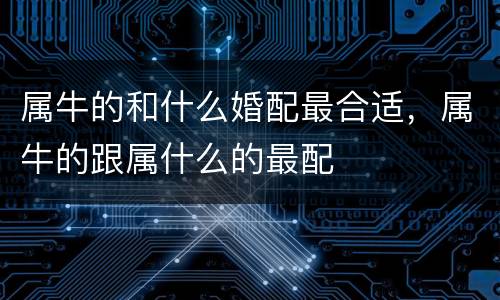 属牛的和什么婚配最合适，属牛的跟属什么的最配
