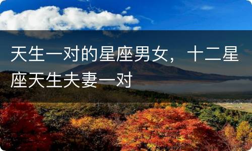 天生一对的星座男女，十二星座天生夫妻一对