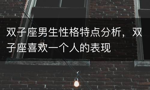 双子座男生性格特点分析，双子座喜欢一个人的表现