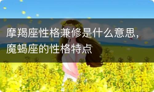 摩羯座性格兼修是什么意思，魔蝎座的性格特点