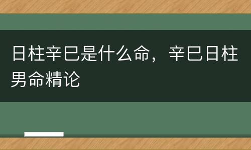 日柱辛巳是什么命，辛巳日柱男命精论