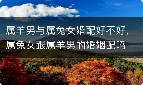 属羊男与属兔女婚配好不好，属兔女跟属羊男的婚姻配吗