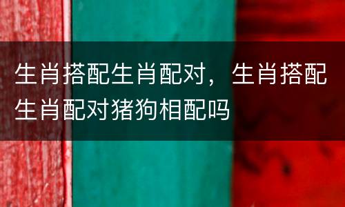 生肖搭配生肖配对，生肖搭配生肖配对猪狗相配吗