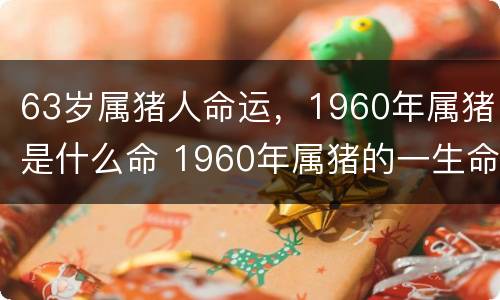 63岁属猪人命运，1960年属猪是什么命 1960年属猪的一生命运