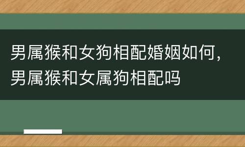 男属猴和女狗相配婚姻如何，男属猴和女属狗相配吗