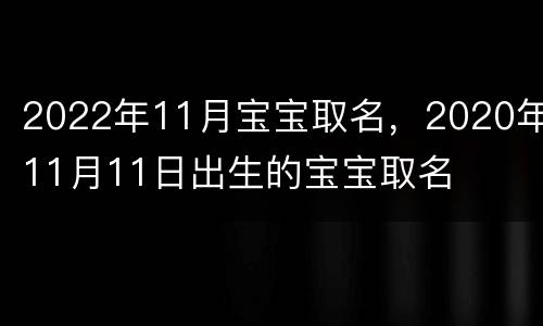 2022年11月宝宝取名，2020年11月11日出生的宝宝取名
