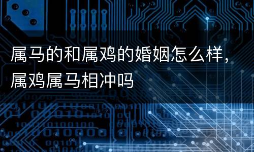 属马的和属鸡的婚姻怎么样，属鸡属马相冲吗