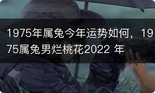1975年属兔今年运势如何，1975属兔男烂桃花2022 年