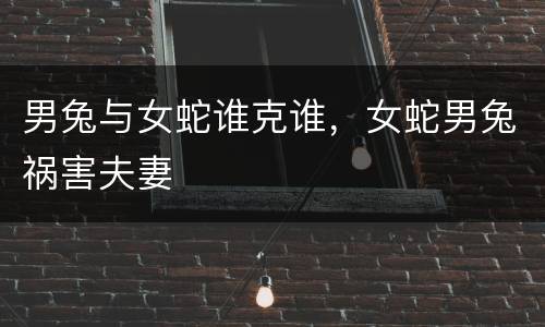男兔与女蛇谁克谁，女蛇男兔祸害夫妻