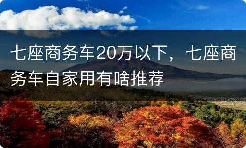 七座商务车20万以下，七座商务车自家用有啥推荐