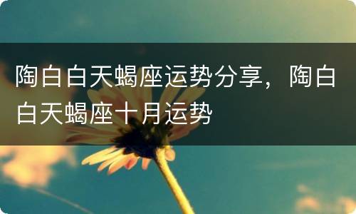 陶白白天蝎座运势分享，陶白白天蝎座十月运势
