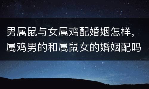 男属鼠与女属鸡配婚姻怎样，属鸡男的和属鼠女的婚姻配吗