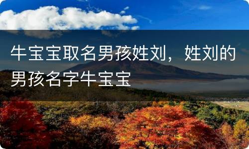 牛宝宝取名男孩姓刘，姓刘的男孩名字牛宝宝
