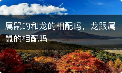 属鼠的和龙的相配吗，龙跟属鼠的相配吗