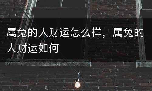 属兔的人财运怎么样，属兔的人财运如何