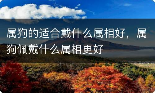 属狗的适合戴什么属相好，属狗佩戴什么属相更好