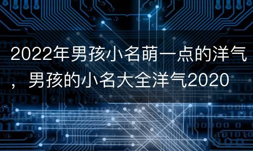 2022年男孩小名萌一点的洋气，男孩的小名大全洋气2020