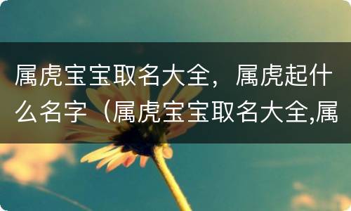 属虎宝宝取名大全，属虎起什么名字（属虎宝宝取名大全,属虎起什么名字好听）