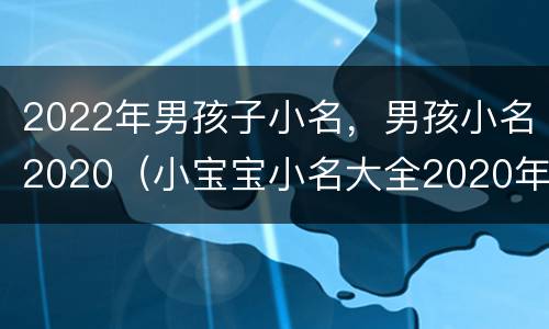 2022年男孩子小名，男孩小名2020（小宝宝小名大全2020年男孩）