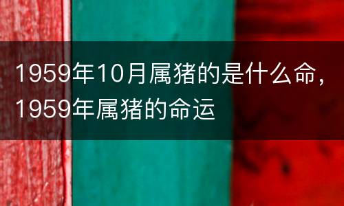 1959年10月属猪的是什么命，1959年属猪的命运