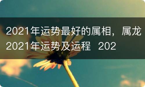 2021年运势最好的属相，属龙2021年运势及运程  202