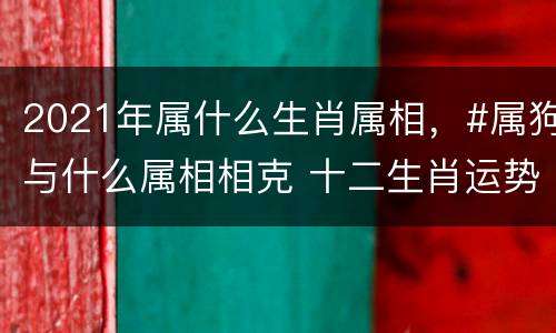 2021年属什么生肖属相，#属狗与什么属相相克 十二生肖运势