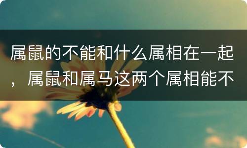 属鼠的不能和什么属相在一起，属鼠和属马这两个属相能不能相配