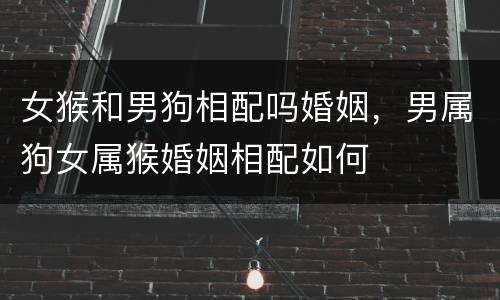 女猴和男狗相配吗婚姻，男属狗女属猴婚姻相配如何