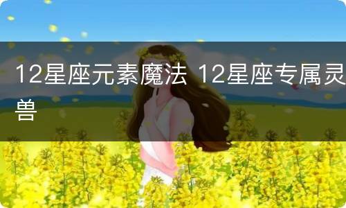 12星座元素魔法 12星座专属灵兽