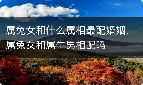属兔女和什么属相最配婚姻，属兔女和属牛男相配吗