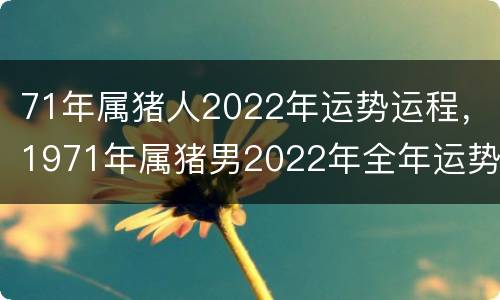 71年属猪人2022年运势运程，1971年属猪男2022年全年运势