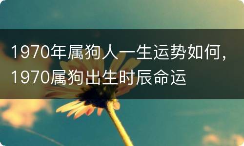 1970年属狗人一生运势如何，1970属狗出生时辰命运