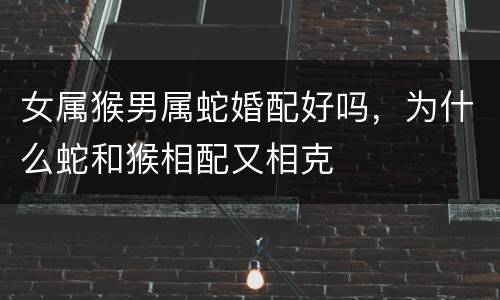 女属猴男属蛇婚配好吗，为什么蛇和猴相配又相克