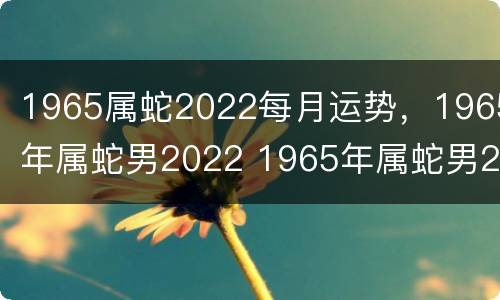 1965属蛇2022每月运势，1965年属蛇男2022 1965年属蛇男2022年每月运势如何