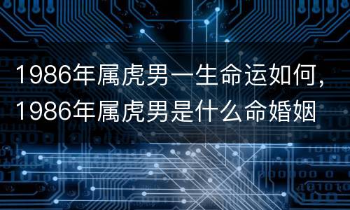 1986年属虎男一生命运如何，1986年属虎男是什么命婚姻