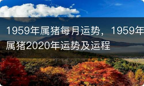 1959年属猪每月运势，1959年属猪2020年运势及运程