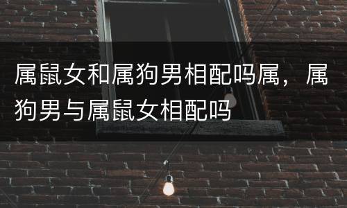 属鼠女和属狗男相配吗属，属狗男与属鼠女相配吗