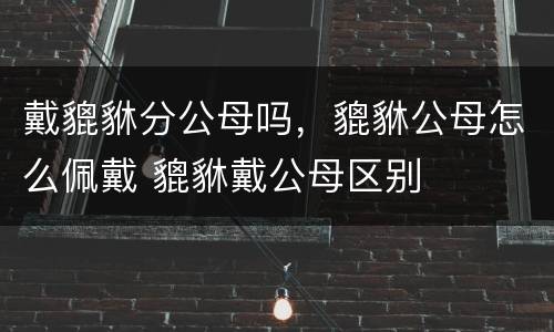 戴貔貅分公母吗，貔貅公母怎么佩戴 貔貅戴公母区别