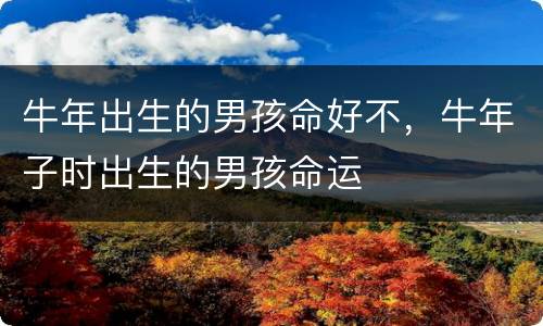 牛年出生的男孩命好不，牛年子时出生的男孩命运
