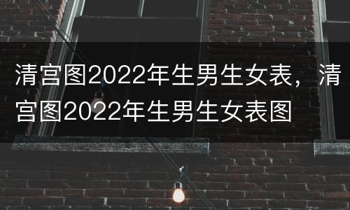 清宫图2022年生男生女表，清宫图2022年生男生女表图