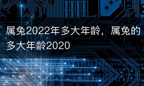 属兔2022年多大年龄，属兔的多大年龄2020