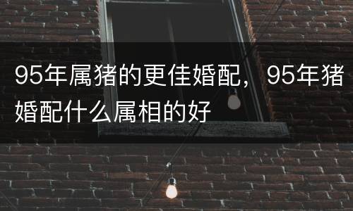 95年属猪的更佳婚配，95年猪婚配什么属相的好