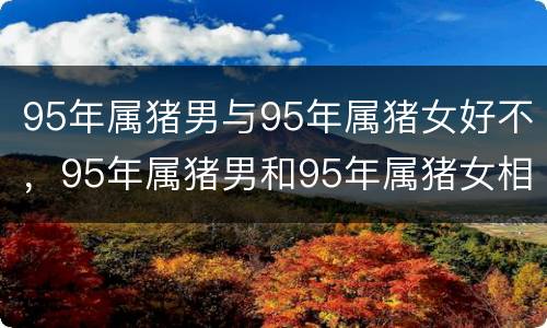 95年属猪男与95年属猪女好不，95年属猪男和95年属猪女相配吗